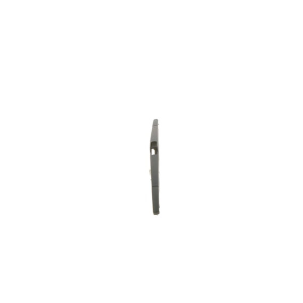 BOSCH galinis valytuvas - 3 397 004 559