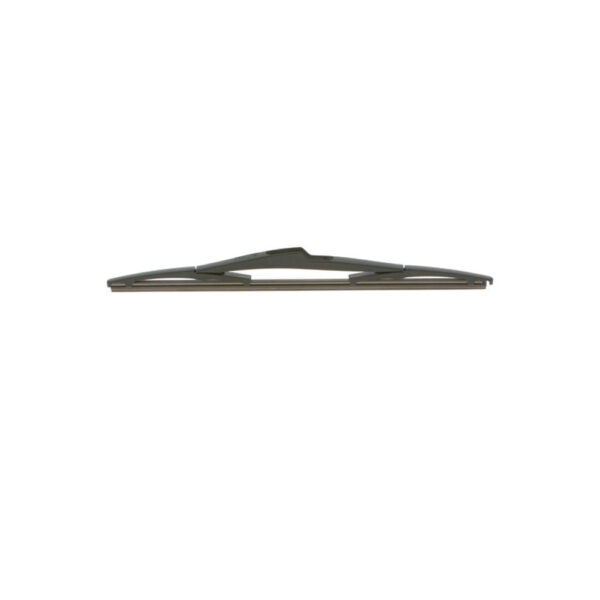 BOSCH galinis valytuvas - 3 397 004 631