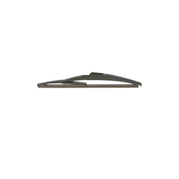 BOSCH galinis valytuvas - 3 397 004 802