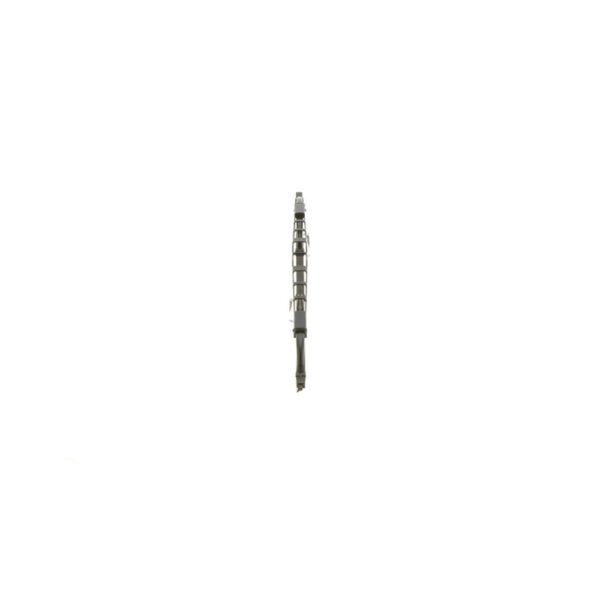 BOSCH galinis valytuvas - 3 397 004 874