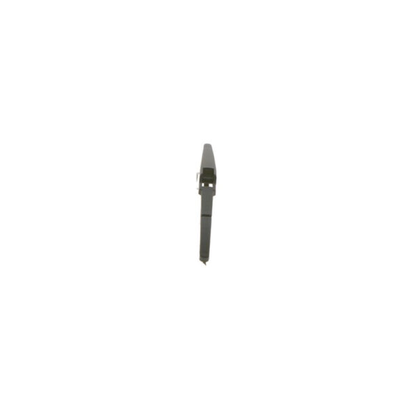 BOSCH galinis valytuvas - 3 397 011 965